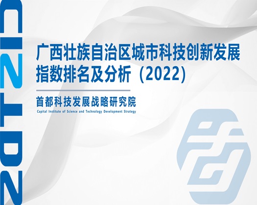 男人插舔女人穴穴视频【成果发布】广西壮族自治区城市科技创新发展指数排名及分析（2022）